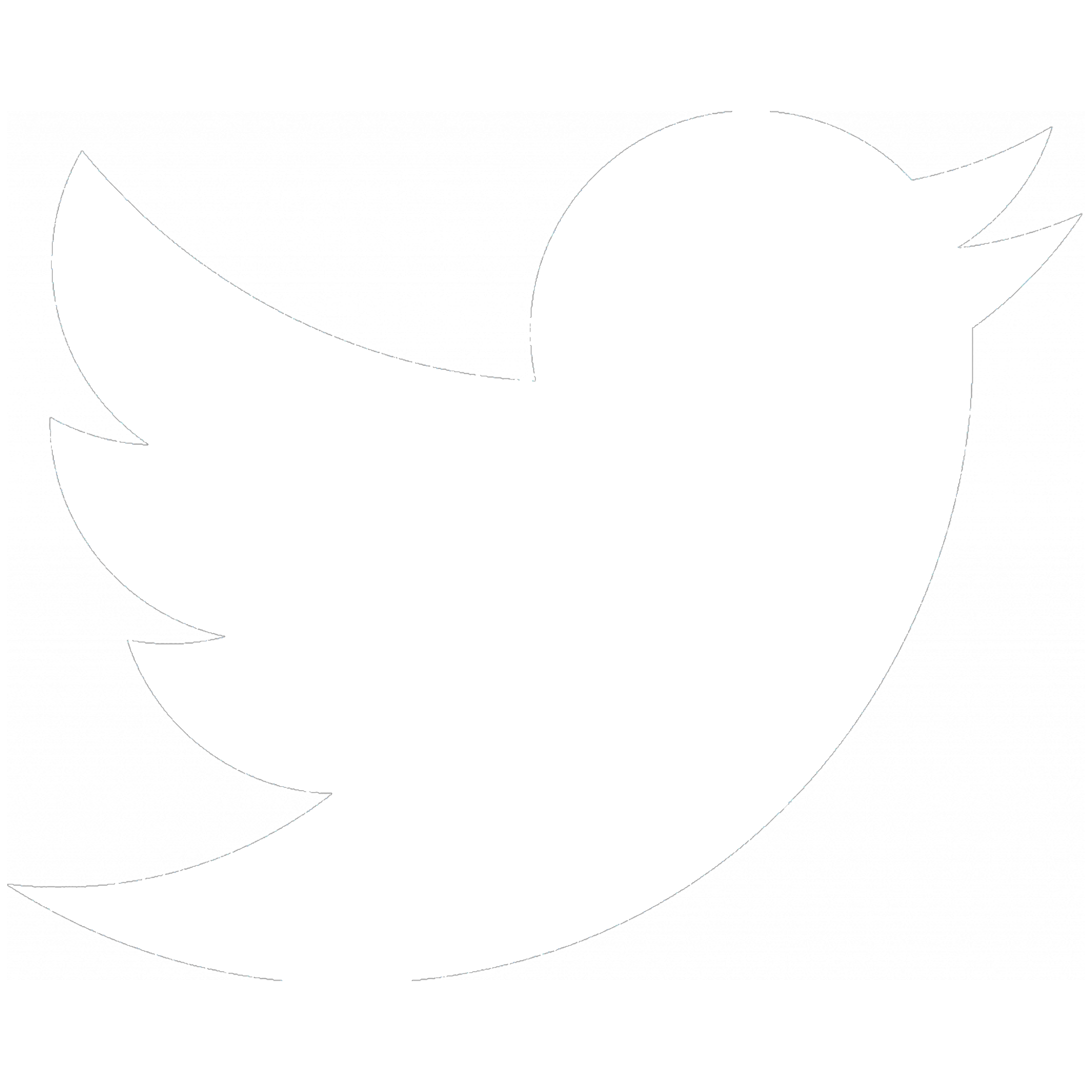 white twitter logo